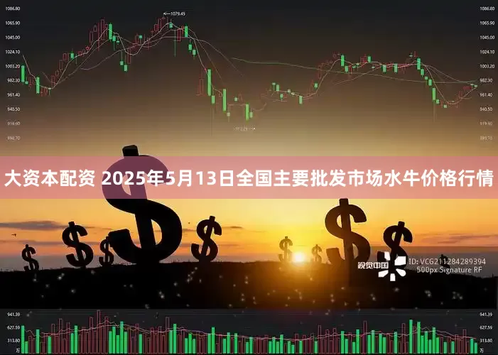 大资本配资 2025年5月13日全国主要批发市场水牛价格行情